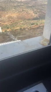 מתנחלים משחררים את בעלי החיים שלהם ליד בתי תושבים באזור "עין אל-קסאב" בעיירה קבלאן, דרומית לשכם.