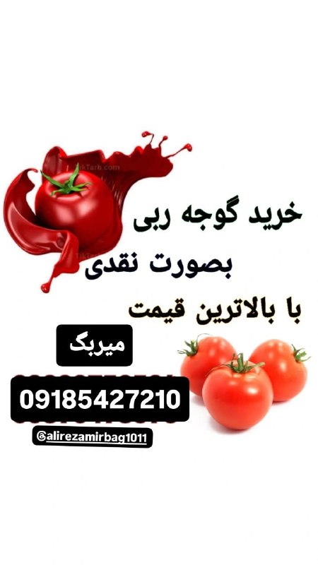 کانال گیان (بهشتی از ایران زمین ): #تبلیغاتخرید گوجه ربی به صورت نقد با بالاترین قیمت قیمت 15500شماره تماس : 09185427210#تبلیغاتخرید گوجه ربی به صورت نقد ب