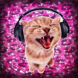 nyura dj