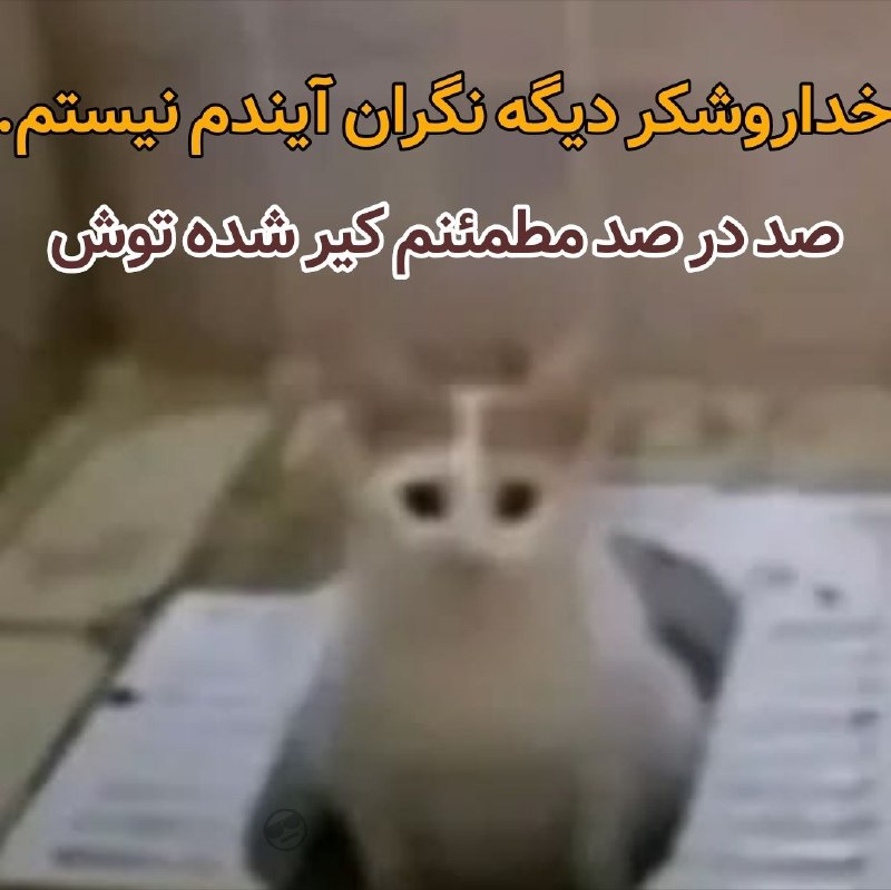 اختـــــــــاپــــوس: 😶 @Okhtapooous