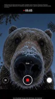 В DNS появилась титаническая серия REDMI Note 15, рассчитанная на экстремальное использование в условиях kRUSSIAN test. В старших версиях — усиленная конструкция корпуса с титановым каркасом, стекловолоконная задняя панель и Gorilla Glass Victus 2. REDMI N