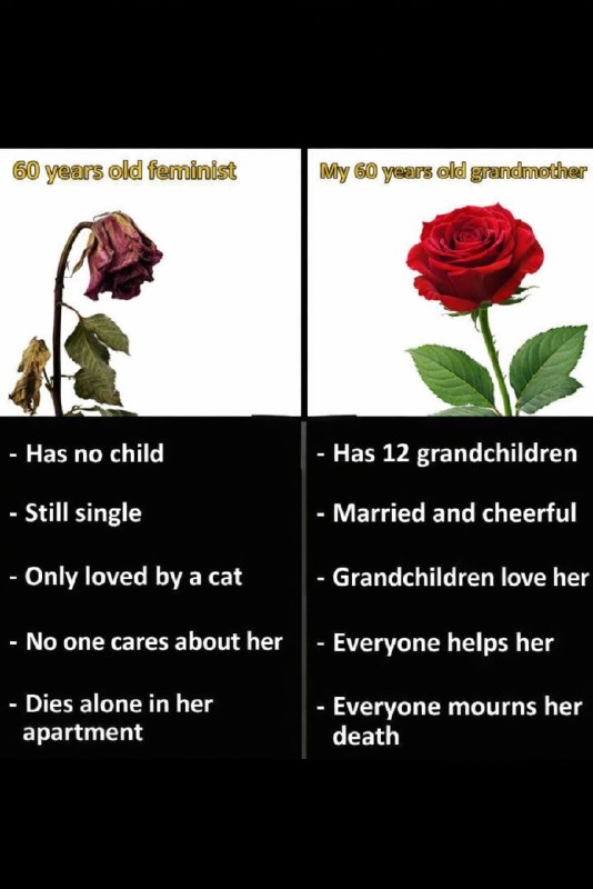 A feminist and a non feminist