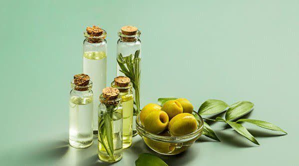 مجله تن سالم وطب سنتی: عرق برگ زیتون ، جوشانده ای برای دیابتی هابرگ زیتون کاهش دهنده فشار خون، قندخون، ضد اسپاسم، گشادکننده عروق خونی، کاهش دهن
