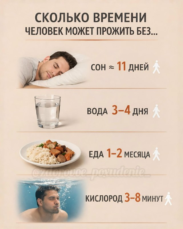 Тело не умеет ждать: почему простые ресурсы важнее всех дел 3