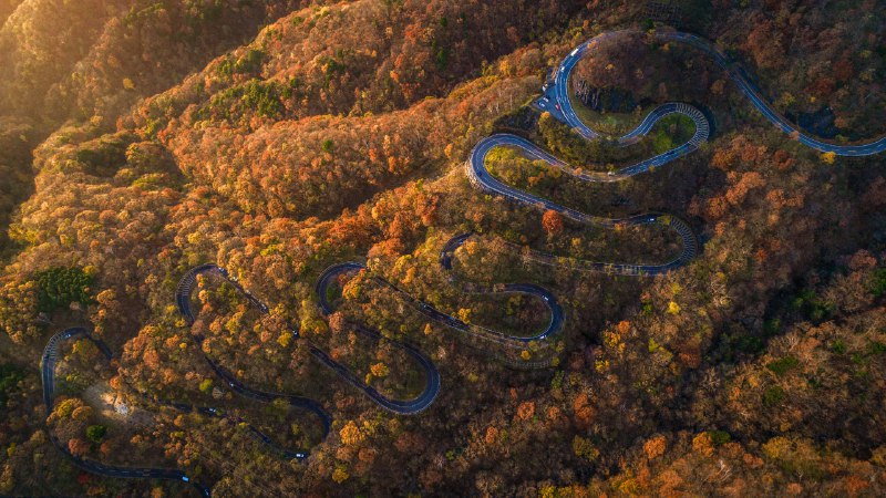 Bend it like NikkoIrohazaka Road in fall, Nikko, Tochigi, Japan (© oneinchpunch/Shutterstock)