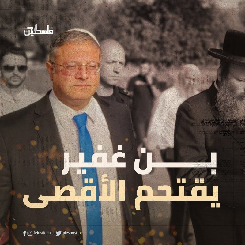 תנועת חמאס: