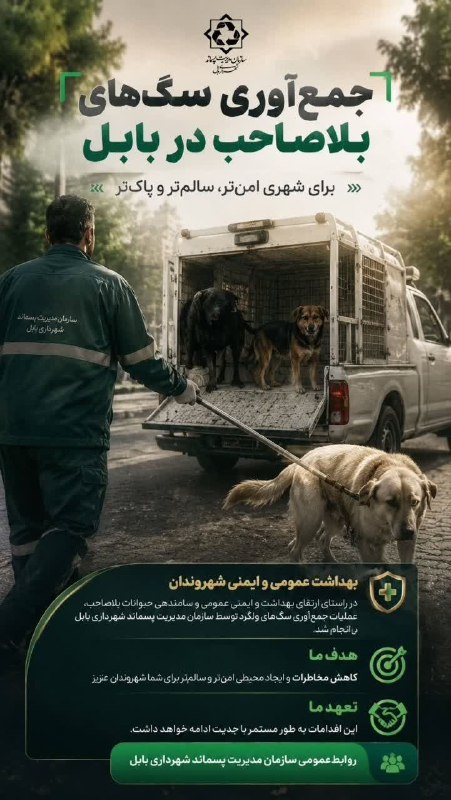 کانال بابل شهر بهار نارنج: ️ جمعآوری سگهای بلاصاحب در بابل🔹در راستای ارتقای بهداشت و ایمنی عمومی و ساماندهی حیوانات بلاصاحب، عملیات جمعآوری سگه