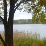 лавовые поля.2011