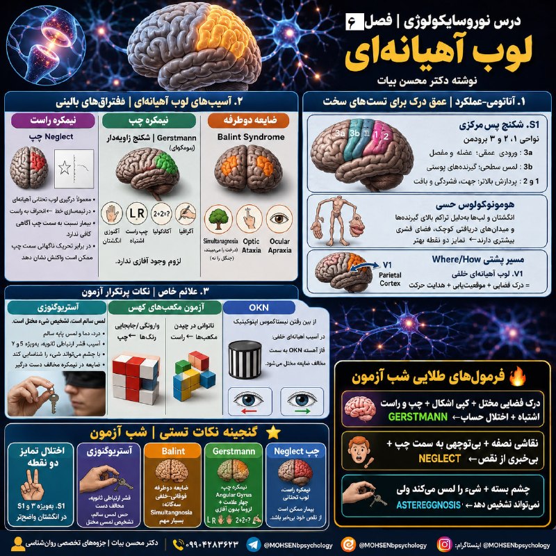 مقاله، پایان نامه، رساله، کتاب، استخدامی.مشاوره کنکوری: 🧠 نوروسایکولوژی تخصصی روان‌شناسی⚡️ 🎓 ویژه داوطلبان کنکور روانشناسی━━━━━━━━━━━━━━━━━━━━🔱 فصل 6: لوب اهیانه ایبخش2━━━━━━━━