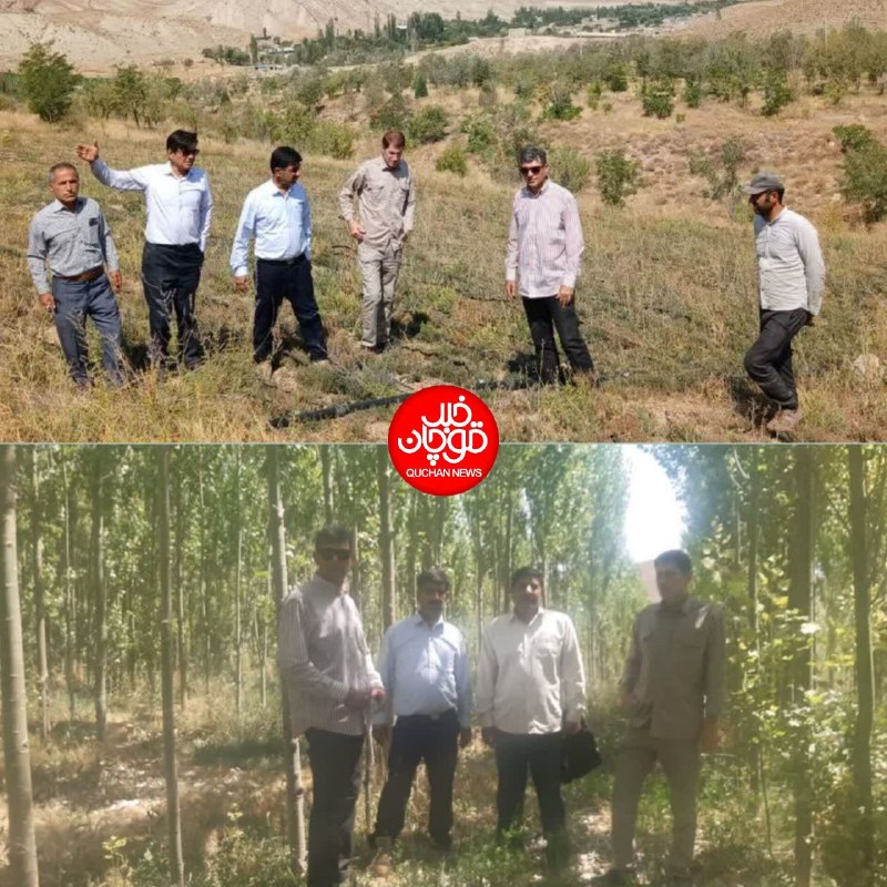 کانال قوچان خبر: 🟥 واگذاری مدیریت پارک جنگلی امامقلی به مجری طرح شهرستان قوچان 🔹امیر زمانی مقدم رئیس اداره منابع طبیعی وآبخیزداری گفت: با