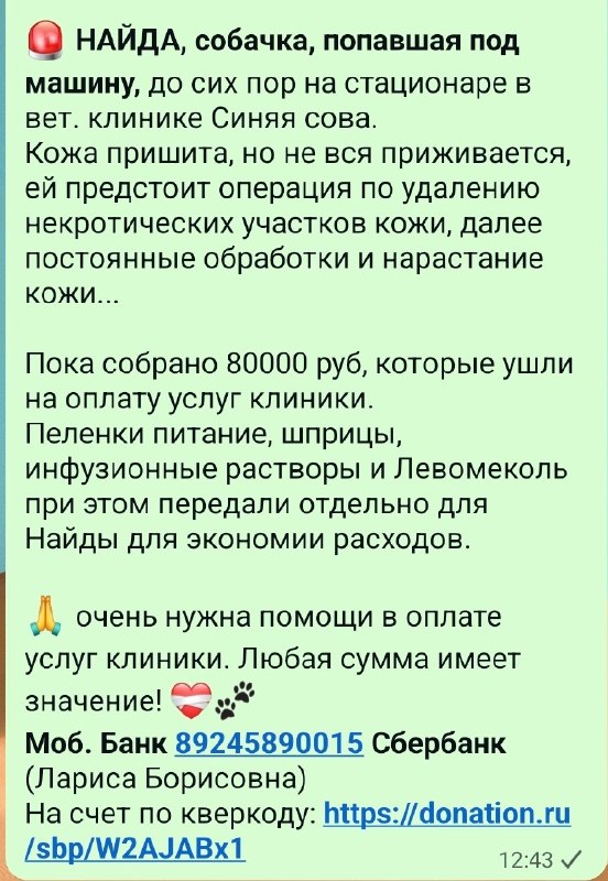 🚨 *НАЙДА, собачка, попавшая под машину,* до сих пор на...