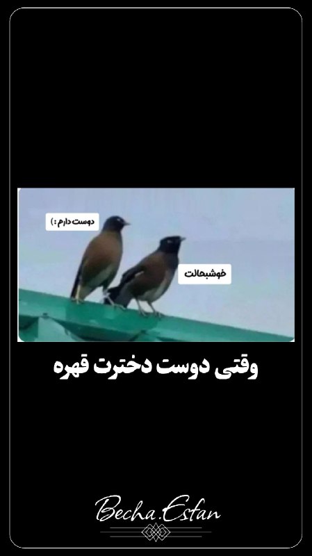 بِـچــــــــــــا اِصفـــــــــــٰان: استوری🌸🍀🆔@bechaesfanاستوری🌸🍀🆔@bechaesfan