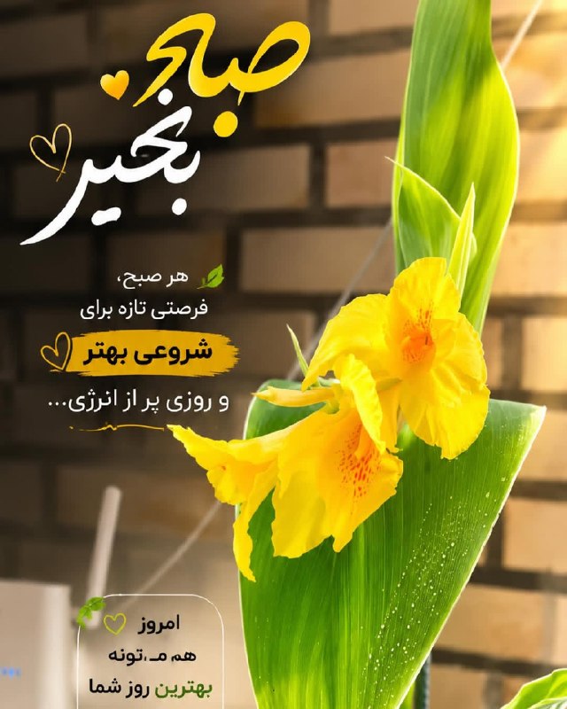 💚سده💚: رسانه پست