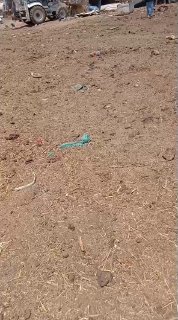תיעוד: צה"ל הורס מבני מגורים בעין אל-חלווה שבבקעת הירדן הצפונית