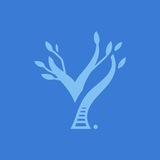 Machine Learning | YeaHub