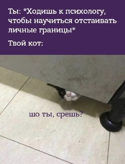 Как выстроить границы в отношениях и научиться говорить о важном, ничего не разрушая? Отвечает эксперт: https://lentach.media/tKPaE