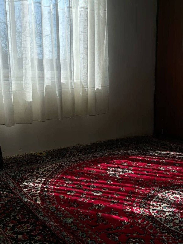 ئیسلام ژیانە: «هیچ نعمتی به اندازهی هدایت بزرگ نیست، به همین دلیل است که روزانه هفده بار در نمازهایمان بر ما واجب شده که آن را درخواست