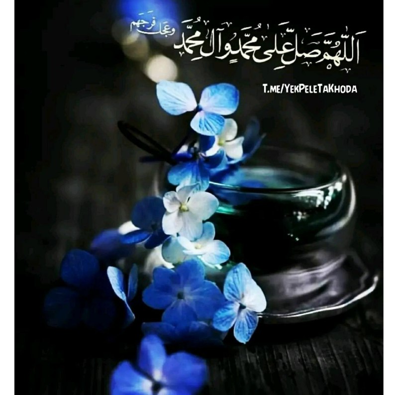 ۞یک پله تا ملاقات خدا۞: 🌹 @YekPeleTaKhoda🌸در آخرین پنجشنبه مرداد ماه✨به نیت آمرزش پدران 🌸 مادران آسمانی و✨همه مسافران بهشتی 🌸صلواتی ختم کنیـم🌸 ا