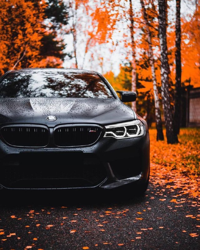 BMW M5 F90 Competition 🥷🇩🇪