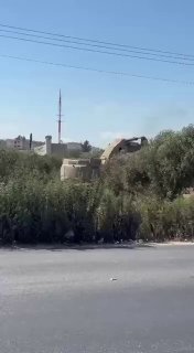الاحتلال يقتلع أشجار الفلسطينيين ويجرّف أراضيهم في عرابة