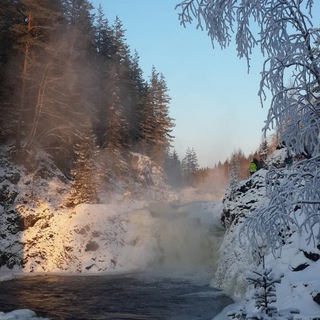 (mst) sell followers on Instagram and all social media sites Telegram Group Link