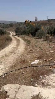 הכיבוש עוקר מאות עצי זית נושאי פרי מאדמות הכפר בורין, מדרום לשכם.