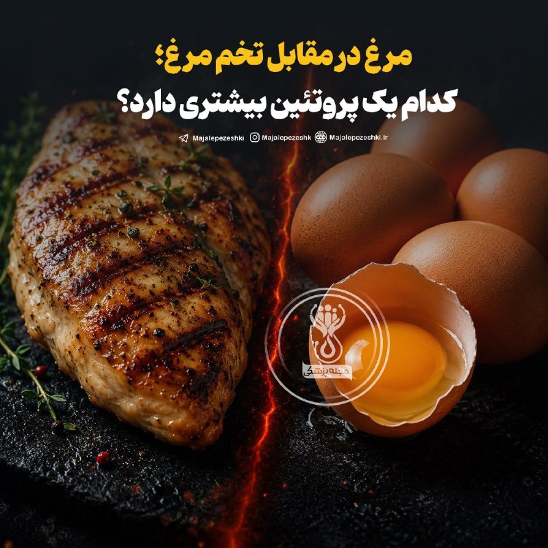 🎗حامیان MS ساوه🎗: مرغ در مقابل تخم مرغ؛ کدام یک پروتئین بیشتری دارد؟◽️مرغ و تخم مرغ منابع پروتئینی محبوبی هستند که سرشار از مواد مغذی مانن