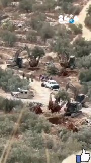 🇮🇱 The Arabs published an Ai video this morning and presented it as if Jewish settlers brought in containers that uproot their olive trees. Some reporters ran it before checking the reliability of the video.