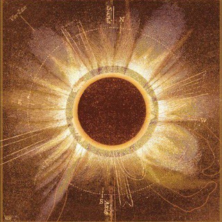 💬 Telegram Group Link