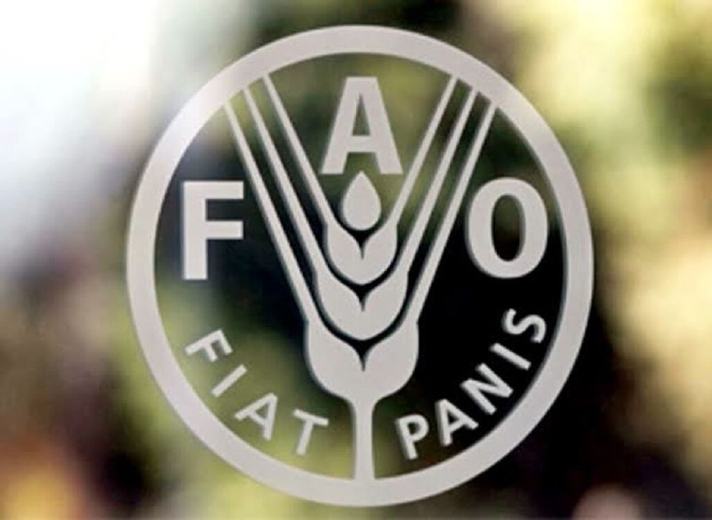 🔸 קריאה בינלאומית של FAO לעיצוב פוסטרים של יום המזון העולמי 2026