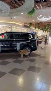 Рекламные кодексы против антирекламы, но эксперты – совсем другое дело.Определён