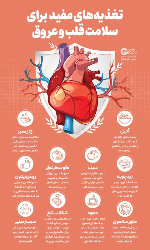 کانال خبری هشتدی: #اینفوگرافی #سلامت 🧾خوراکیهای مفید برای سلامت قلب و عروق👉 @gil8deynews