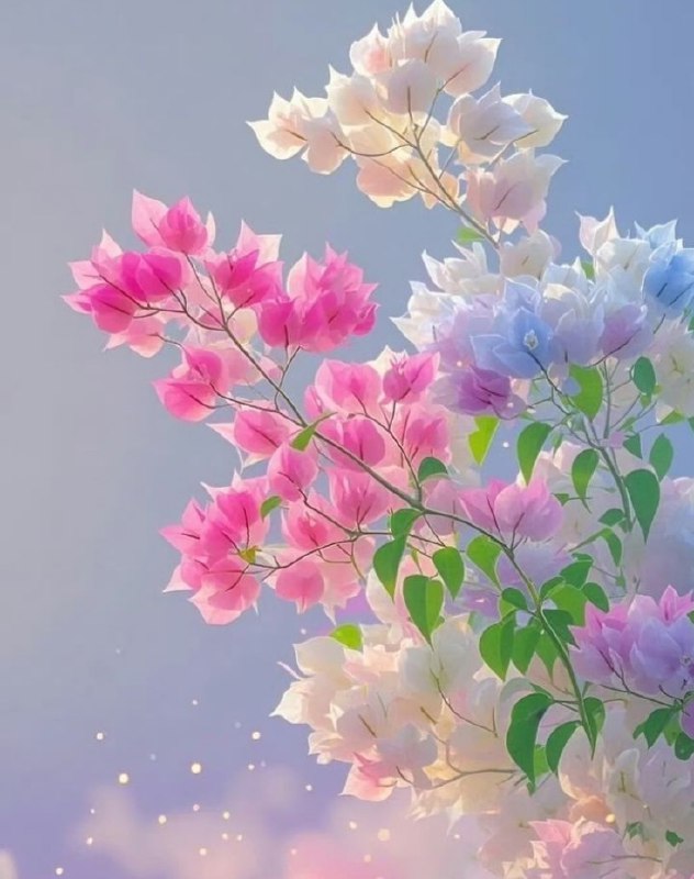فرشتگان قانون جذب: 🌷سه شنبه تون گلباران،خدایا..! تمنا دارمدرهای مهربانیترا بر روی دوستانو عزیزانم گشوده کنو روزی حلال،تندرستی، مهربانیو آرا