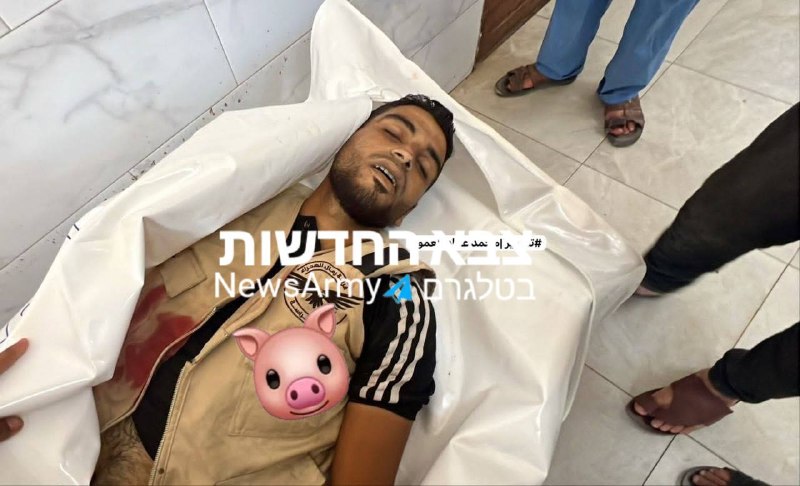 מחבל חוסל ברפיח בדרום הרצועה