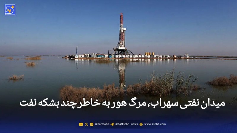 آسوندار (لیلا مرگن، خبرنگار): 🔹صدور مجوز توسعه میدان نقتی سهراب منجر به خشکاندن ۱۸ تا ۲۰ هکتار از بخش دست نخورده تالاب هورالعظیم می‌شود.🔹این بخش، تنها