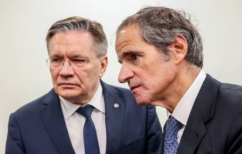 רוסתום והסוכנות דנו באבטחת תחנת הכוח הגרעינית בזפוריז'יה