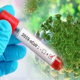 KK oro NA _ دکتر محمدرفیع جلالی