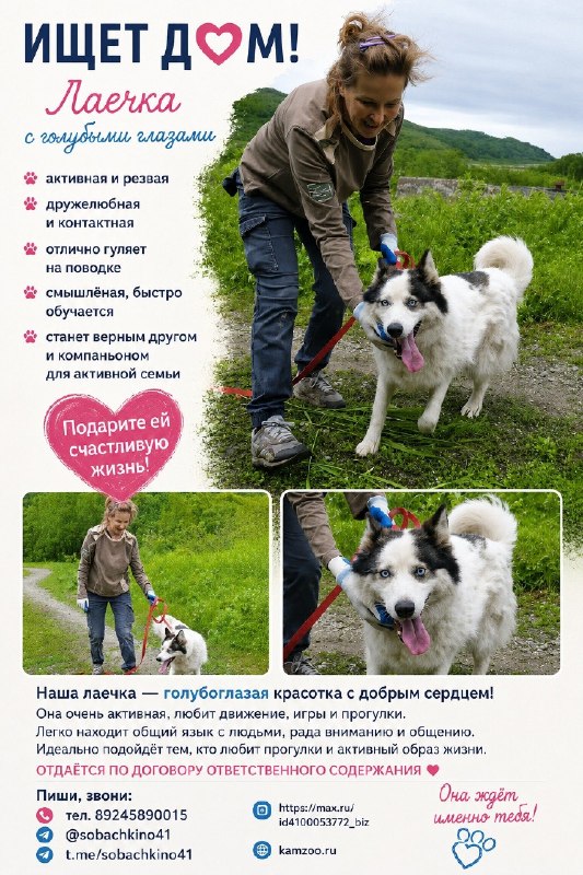 @help_animal41 posted a photo