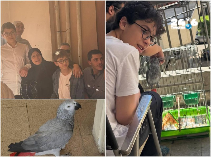 🇮🇱 בלבנון מתבכיינים : מלבד עלי חסן מפקד בכוח רדואן ומשפחתו חוסל גם התוכי שלהם קוקו.