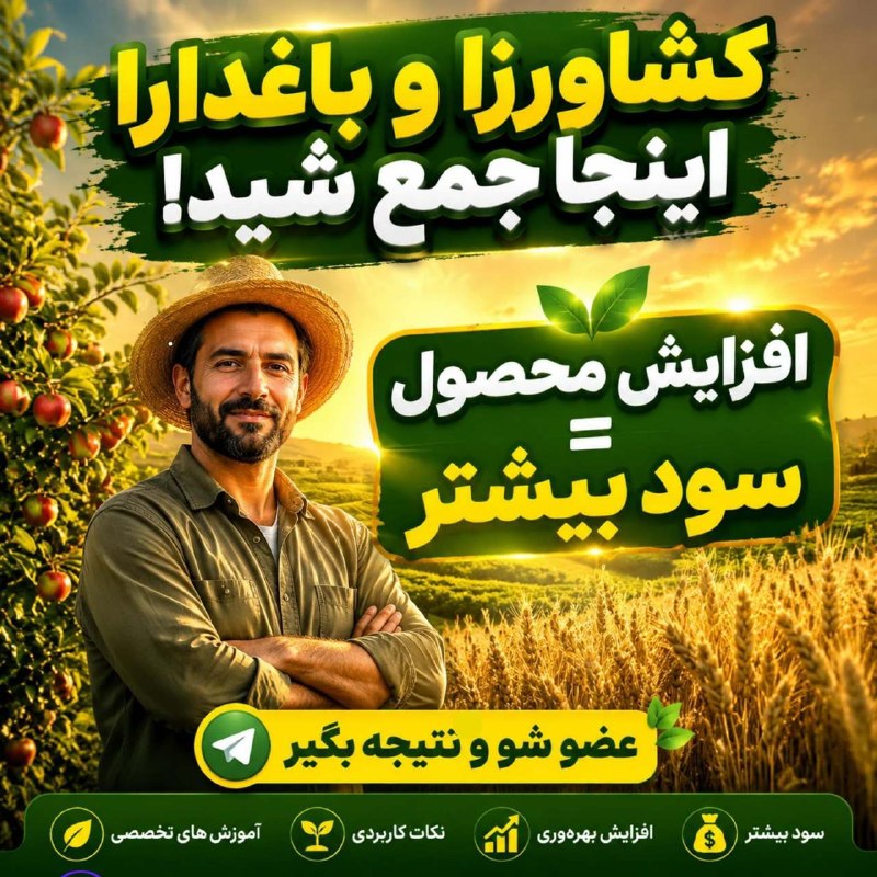 قیدار آنلاین: 🌱 اگه توی کشاورزی فعالیت می‌کنی، اینو از دست نده! 🔥رازهای افزایش محصول و سود بیشتر رو همین‌جا یاد بگیر 👇https://t.me/mos