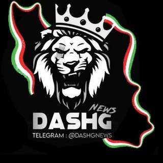 Telegram profile photo for DashgNEWS