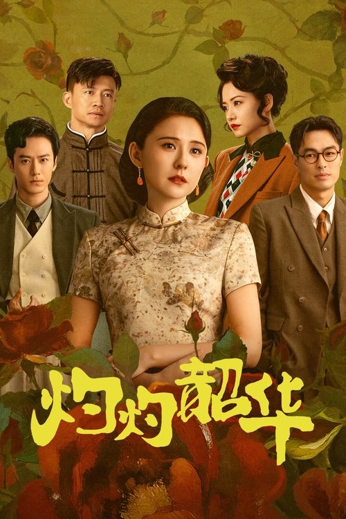灼灼韶华（2025）