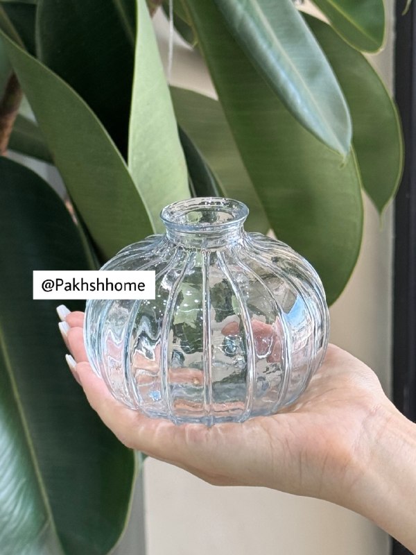 پخش هوم لند: 👍 گلدان تارا سایز ۳🔻ابعاد : 6*7*12 cm🔻از جنس شیشه🔻دارای جعبه کاهی🔻📦۳۶ عدد🔻قیمت : ۹۷۰۰۰ ت🆔كانال فروشگاه👇🏻@Pakhshhome☎️📞 :