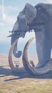 Animal Teeth Size ComparisonIn this video compare some of the most incredible animal teeth in the world starting with the tiniest and working our way up to the absolute biggest!Did you know? 🎓