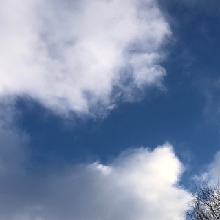 Boring <georgian> Techwriting Telegram Group Link