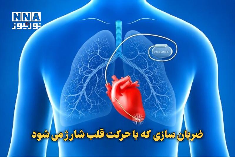 نورنیوز: ✅ ضربانسازی که با حرکت قلب شارژ میشود🔹 پژوهشگران نمونهای از یک پیس میکر یا ضربانساز قلبی کوچک و بدون باتری ساختهاند