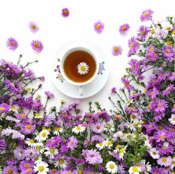 👈💘ڪـلـبـه عـشـق❤ 👉: 🍃🌸صبح زیبـاتون مثل گلای بهاری🍃🌸خـوش‌رنگ و خـوش‌عطر🍃🌸و لحظه‌هـاتـون پـر از 🍃🌸عشق و آرامش باشه‌‎‌‌••🍃🌸 @iloyey 🌸🍃••