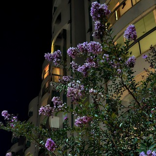 ⌗ 𝐀taya's 𝐏ack. Telegram Group Link