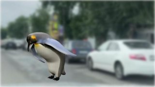 Мэр Иркутска пообещал поставить биотуалеты в очередях у АЗС«Сейчас многие автомобилисты стоят в очередях по несколько часов. Поэтому, чтобы хоть как-то снизить неудобства водителей, в районе заправок установим биотуалеты», — написал мэр Иркутска Руслан Бол