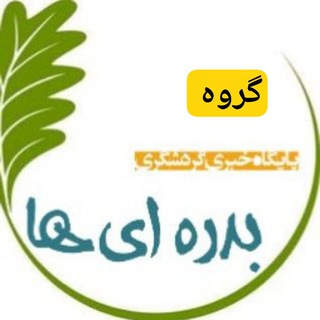 بدره ای ها